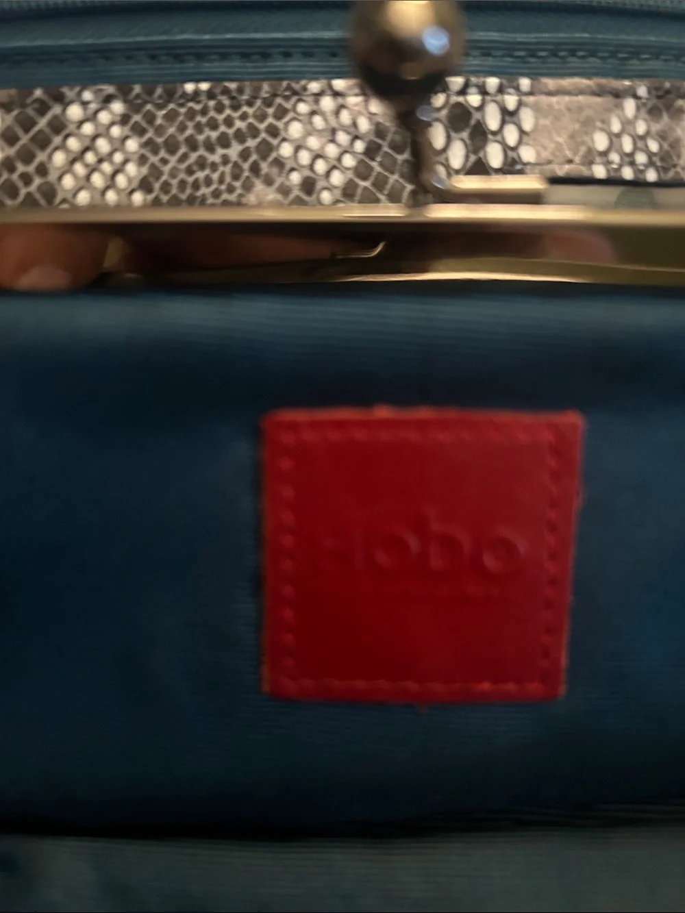 HOBO sleek snakeskin